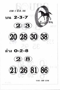 เลขดังหวยม้านำโชค 16-6-66