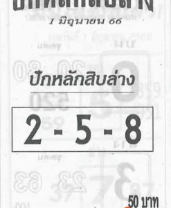 เลขเด็ดปักหลักสิบล่าง 16-6-66