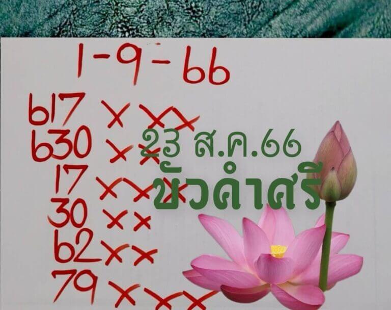 หวยไทย บัวศรี 16/9/66
