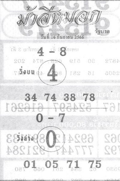 หวยไทย ม้าสีหมอก 16/9/66
